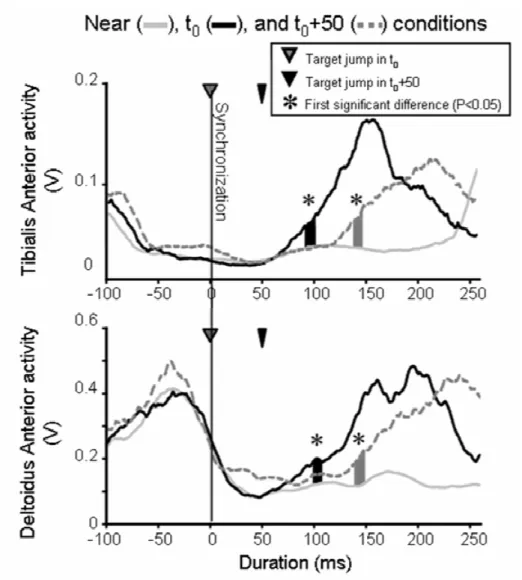 Figure 9 TAi and DAi EMG activities and the times taken for motor corrections. 