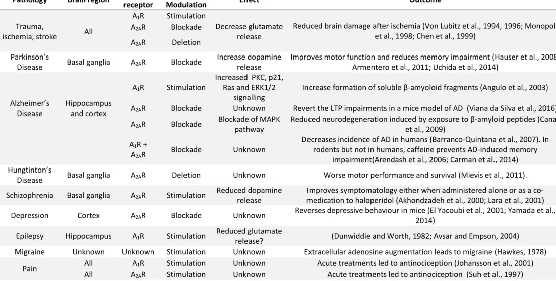 Table 4: The adenosine signalling is involved in many pathologies 