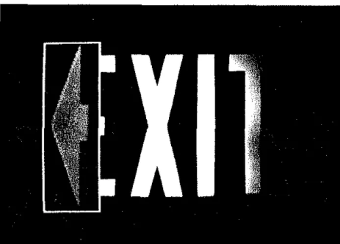 Figure  7  Video image of an exit  sign produced by the CapCalc photo-  metric imaging system
