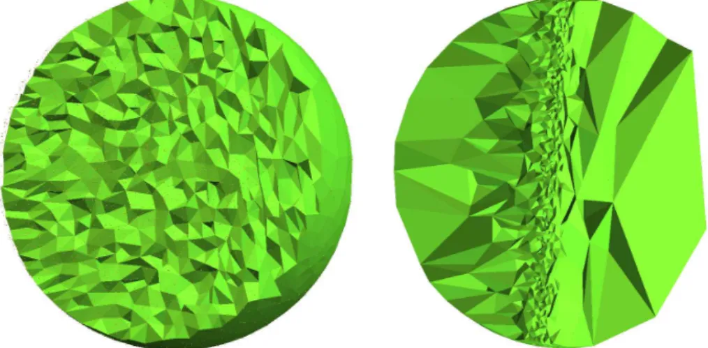 Figure 5: Two examples of anisotropic meshes produced by our algorithm.