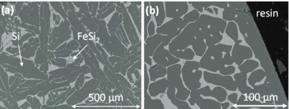 Fig. 2. SEM micrographs of the cross section of the Si–4.7 at% Fe anode: (a) bulk; (b) external surface (light grey: FeSi 2 ; dark grey: Si).