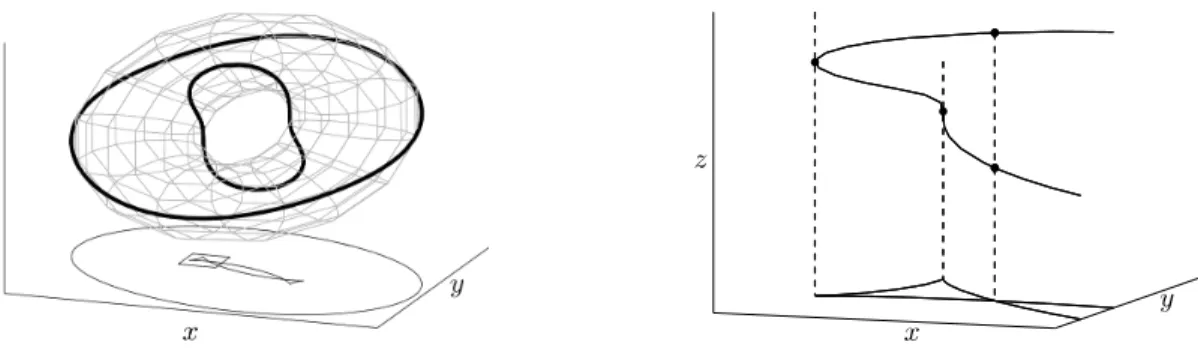 Figure 1: Left: a torus P = 0, in bold line the curve P = P z = 0, its apparent contour, and a zoom zone.