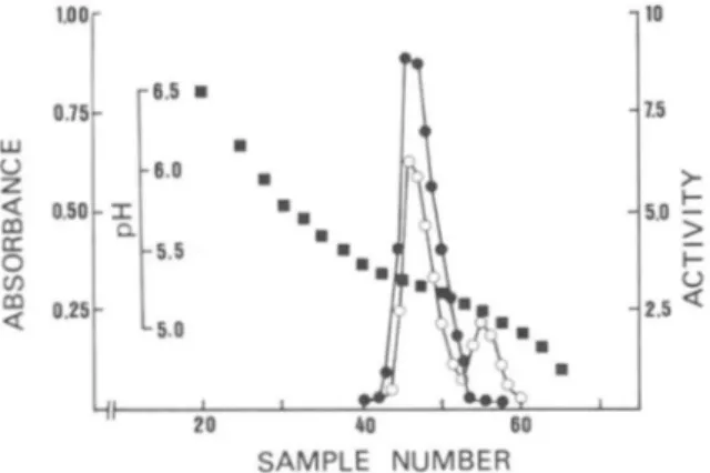 FIG.  4.  Separation of  A1:3:~-15i  A K e   from  wild-type  AKe  by  chromatofocusing