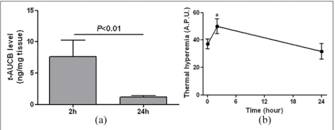 Figure 3.  (a) Skin levels of t-AUCB, quantified by liquid chromatography coupled to tandem mass spectrometry, 2 (n = 5) and  24 hours (n = 6) after topical application of the t-AUCB-containing gel (20 µL at 400 mg/L) on the dorsal skin of db/db mice