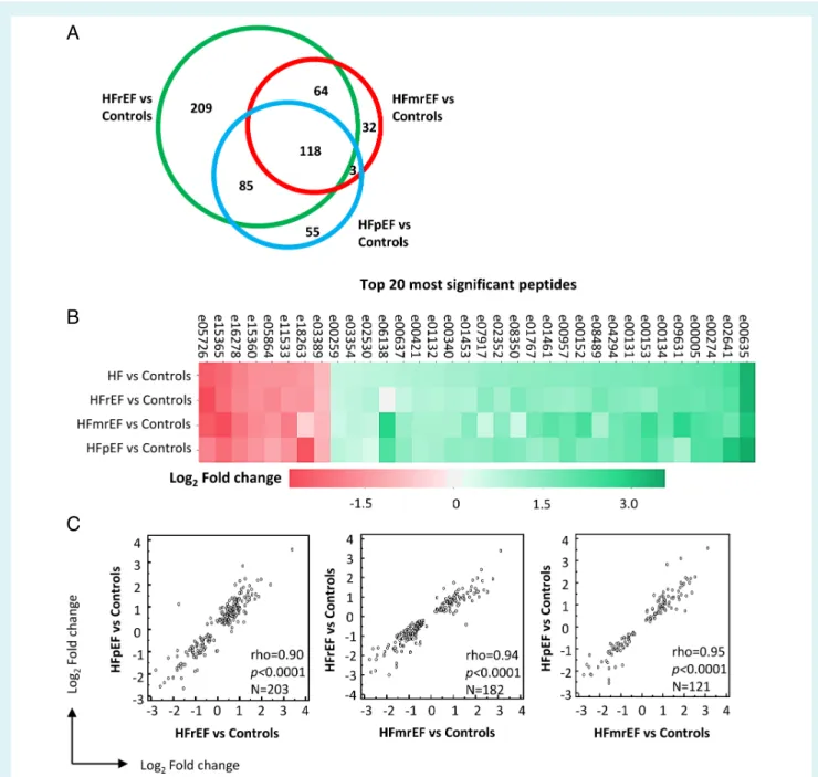 Figure 3 Urinary peptides across heart failure (HF) subtypes. (A) Comparison of the sequenced peptides that significantly differ between analysed sub-groups