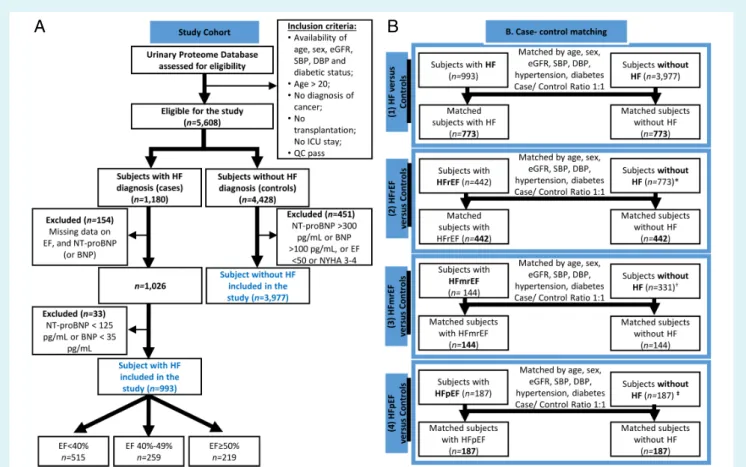 Figure 1 Study design. Consort diagram for patient selection (A) as well as case-control matching workflow (B) are presented