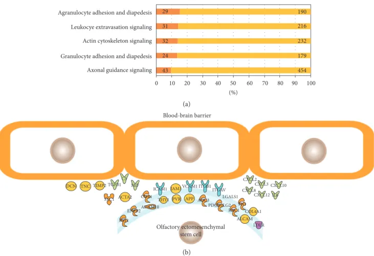 Figure 2: Bioinformatic analysis of the OE-MSC secretome. The 629 proteins secreted by OE-MSCs identi ﬁ ed by mass spectrometry were analyzed using the Ingenuity Pathway software