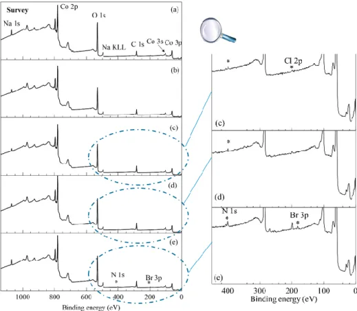 Figure 5. (Left) survey spectra of (a) β3-pH 14 , (b) β3-pH ↗ , (c) β3-pH ↗ (IL 2C), (d) β3-pH ↗ (IL 6C) and  (e) β3-pH ↗ (IL 10C); (right) zoom in of 450-0 eV binding energy range