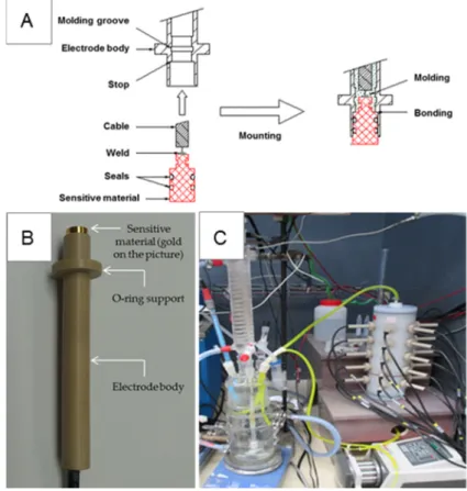 Figure 2.  (A) Schematic representation of electrode construction; (B) Actual view of a gold-based  electrode; (C) View of the entire experimental set-up