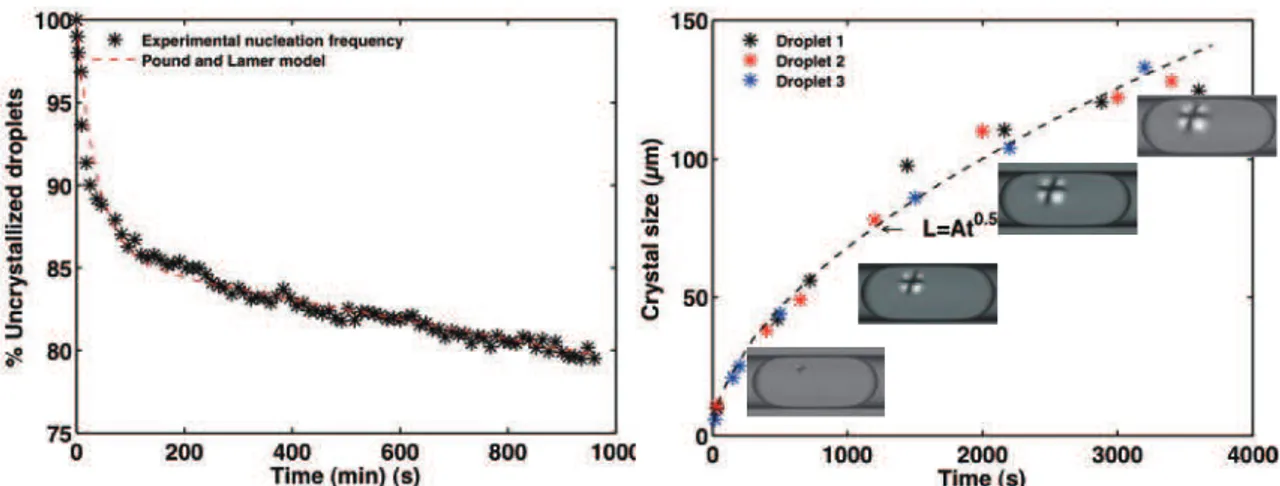 Fig. 17  Nucleation  and  growth  of  eflucimibe  crystals  in  octanol  droplet  s(a)  Nucleation  rate  :  ratio  of  uncrystallized  droplet vs