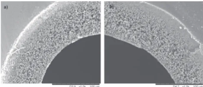 Fig. 2. MEB images of stained MicroPES ® hollow ﬁber cross section a) PES-PSS6 grafted membrane b) pristine membrane.