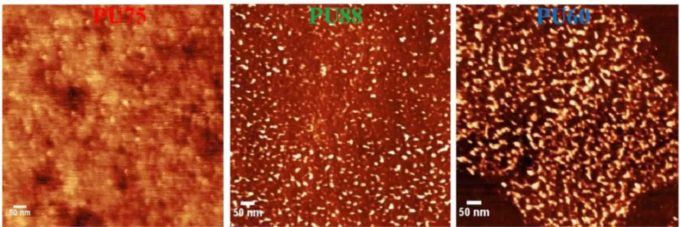 Fig. 7 AFM micrographs for PU75, PU88 and PU60 (phase images). The bright regions correspond to  stiffer domains, i.e