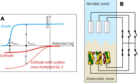 Fig. 2. (A) Current–potential curves of the anode and cathode parts that allow the MES potential to be  pre-dicted