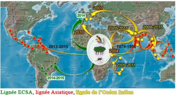 Figure  5.  Carte  de  distribution  géographique  des  génotypes  de  CHIKV  et  du  mouvement  des  épidémies de CHIKV