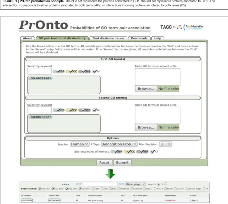 FIGURE 2 | PrOnto web interface. In the example shown, two terms have been submitted. The lower panel shows the results for APs.