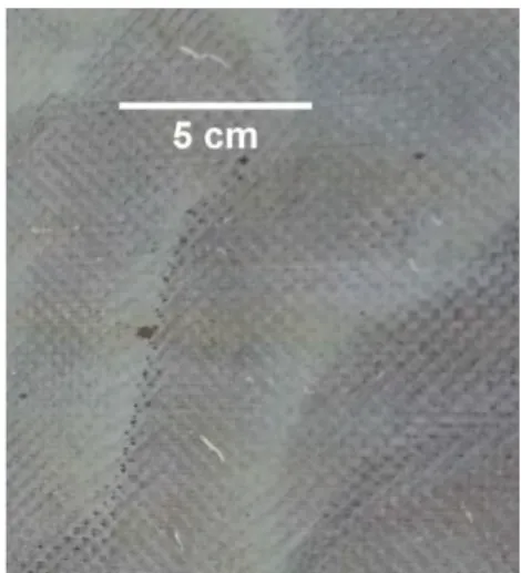 Figure 7. Image of hydrophobic PTFE membrane after treatment of textile wastewater. 