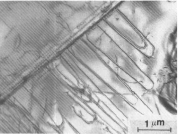 FIG. 10. The elongated dislocation loops in (111) plane multiplied from a subboundary.