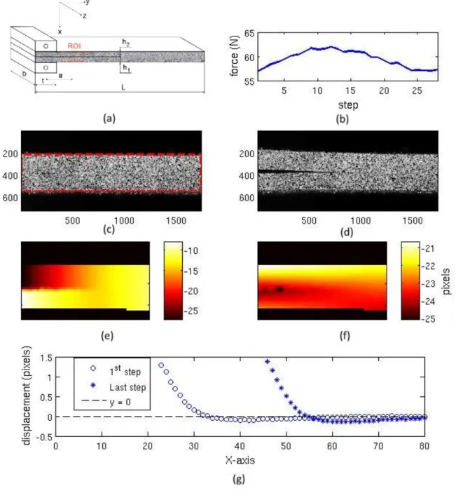 Figure 1: (a) DCB sample with the position of the Region Of Interest (ROI) used to measure  displacement fields