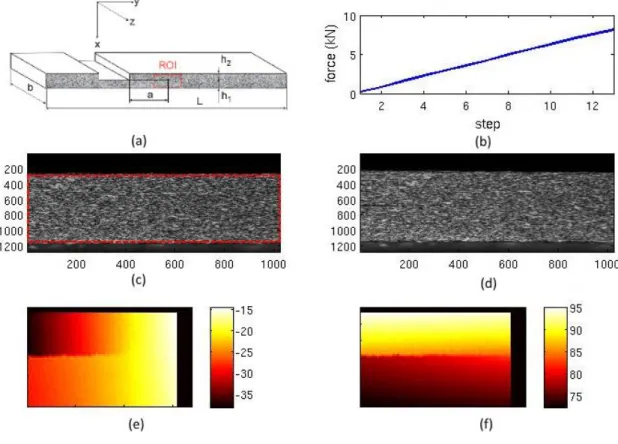 Figure 2: (a) CLS sample with the position of the Region Of Interest (ROI) used to measure  displacement fields