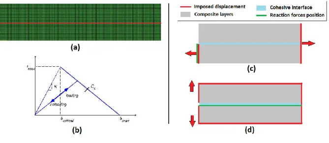 Figure  3:  (a)  Finite  element  mesh  in  which  the  cohesive  nodes  are  marked  in  red