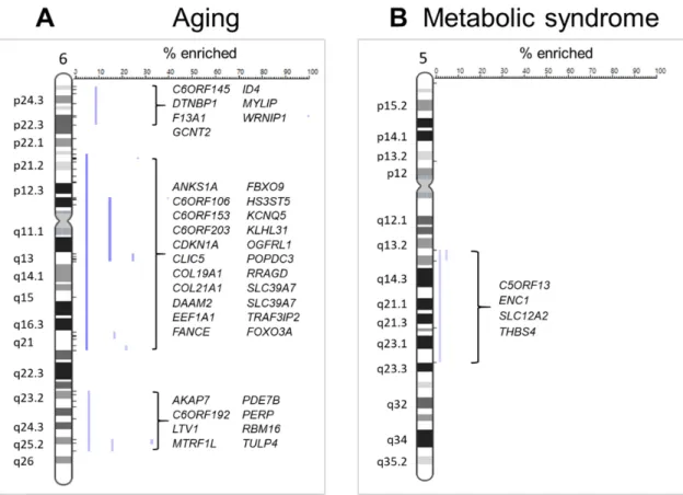 Figure 2. Enriched chromosomal regions. (A) Three major regions of chromosome 6 (p24, p21–q21,  q23–q25) were significantly enriched in genes differentially expressed with healthy aging