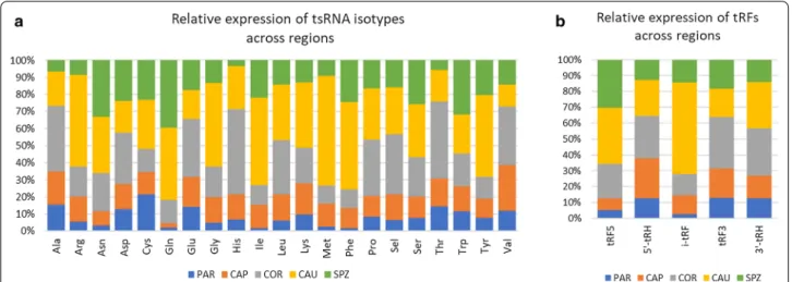 Fig. 4  Dynamics of rRNA fragments across regions. PAR (testis parenchyma), CAP (caput), COR (corpus), and CAU (cauda) epididymis and ejaculated  sperm (SPZ)