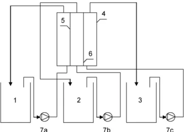 Fig. 2. Diffusion cell diagram. (1) Concentrate compartment of the CEM; (2) diluate compartment (feed); (3) concentrate compartment of the AEM; (4) diffusion cell;