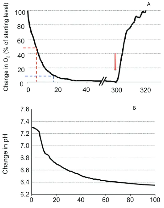 Figure 12. Change in medium during ischemia over time (in minutes). A: change in O2  dissolved in the medium and expressed as percent of the value in basal normoxic conditions