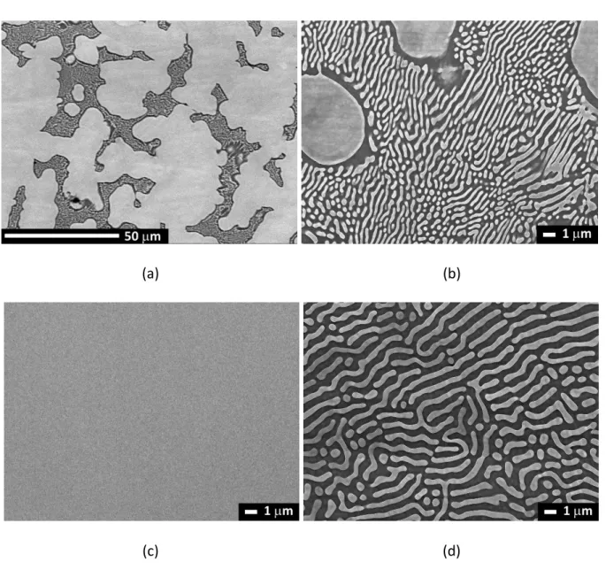 Figure 2: SEM micrographs of (a) the as-cast Cu-8.1at%Mg alloy, (b) a zoom of the eutectic  aggregates,  (c)  the  Cu-4.1at%Mg  alloy,  and  (d)  the  Cu-23.1at%  alloy