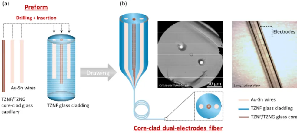Fig. 3. Homothetic dual-electrodes core-clad co-drawing (a) Design of the preform (b) Scheme  of the drawing, SEM micrographs of the fiber (cross-sectional view: SEM ; longitudinal view: 