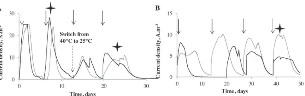 Fig. 4. Cyclic voltammetries in turnover conditions of (A) bioanodes formed at 40 &#34; C and then switched to 25 &#34; C and (B) bioanodes formed at 25 &#34; C from the beginning of the experiment