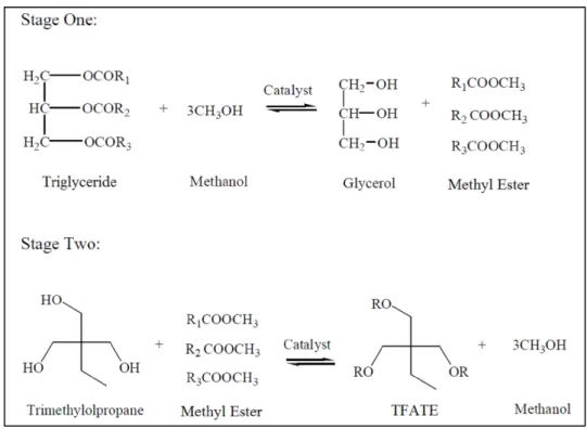 Figure 1: The chemical equations of TFATE synthesis from triglyceride. 