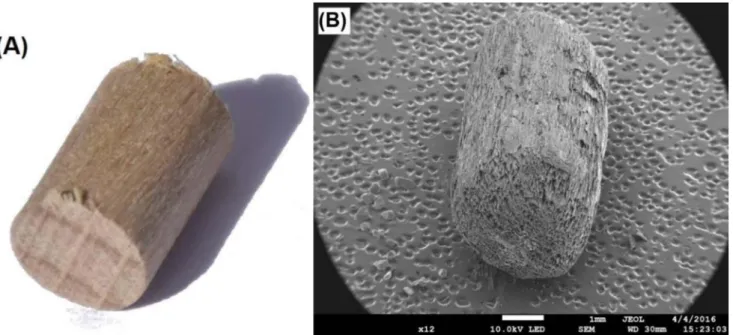 Fig. 1. Picture of the (A) beech stick (STI) and (B) its associated char (called STI650) obtained by pyrolysis at 923 K in a ﬂuidized bed reactor.