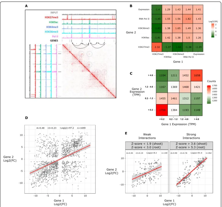Fig. 4 Chromatin loops define local-scale functional units of wheat genome architecture
