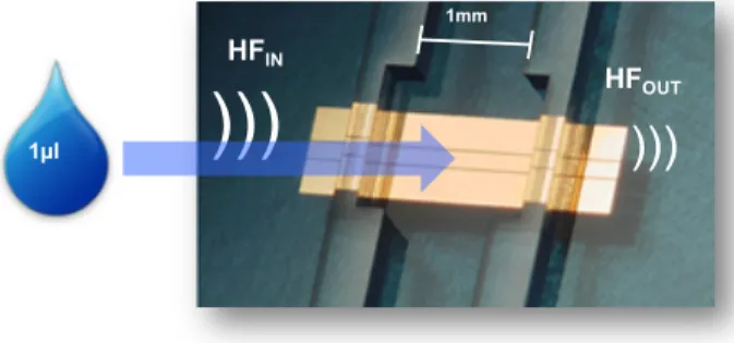 Fig. 1.  Microwave sensor for permittivity characterization of liquids. The  microfluidic channel requires a typical volume of 1 microliter