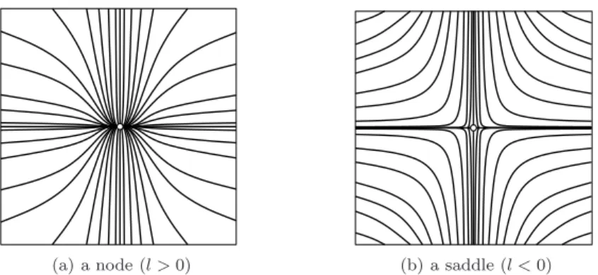 Fig. 1.5: Real foliation of the vector field Z when l ∈ R ×