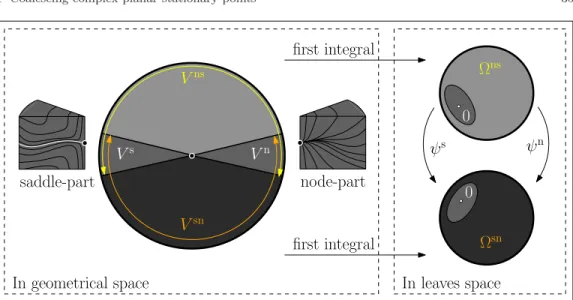 Fig. 1.6: The sectorial decomposition of a saddle-node of codimension 1. The white in- in-variant curve in the saddle-part (sectorial separatrix) is mapped to 0 in leaves space