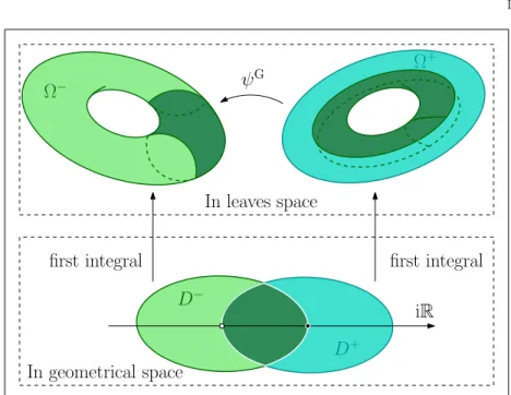 Fig. 1.7: The Glutsyuk connection