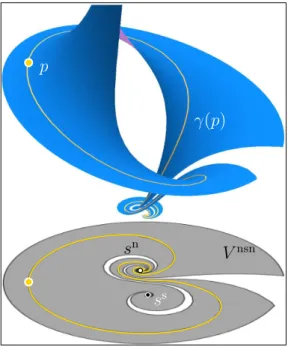 Fig. 1.11: An asymptotic cycle and its projection on the x-variable. (Modulus of the y-coordinate of the leaf as a height-map)
