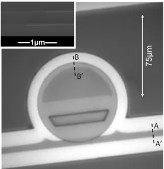 Fig. 2.  Near-infrared (λ=770 nm) microscope image of a fabricated 75 µm- µm-diameter micro-disk  vertically coupled to a buried oxide access waveguide