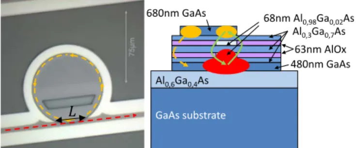 Fig. 1.  (left) Microscope top-view image with superimposed mode  propagation paths (red and orange dashed arrows) [12]  and (right)  cross-sectional schematic of the vertically-coupled microdisks