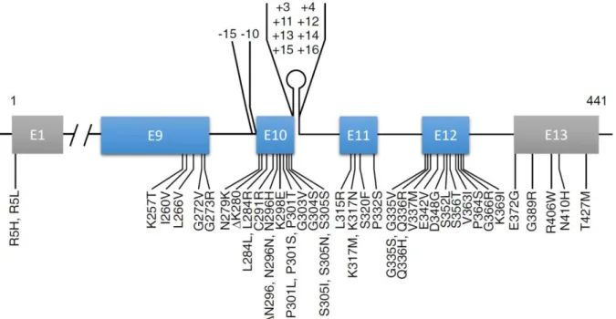 Figure 14 – Mutations du gène MAPT. Ensemble des mutations pathologiques connues pour  le gène MAPT impliquées dans les démences fronto-temporales avec syndrome parkinsonien  liées au chromosome 17