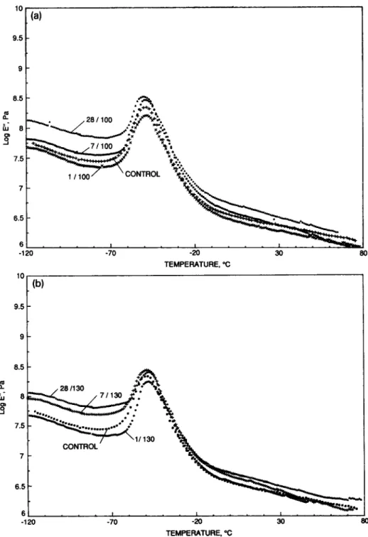 Fig.  5.  DMA  curves  for  specimen  Sl  aged  at  (a)  100  o C  for  0  days  (control),  1  day  (l/100),  7  days  (7/100)  and  28  days  (28/100)  and  (b)  130°C  for  0  days  (control),  1  day  (l/130),  7  days  (7/130)  and  28  days  (28/130)