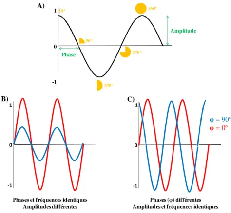 Figure 10 : Illustration du signal sinusoïdal 