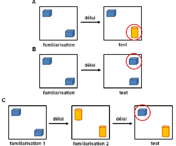 Figure 5: Représentation schématique des différentes versions du paradigme de préférence pour la nouveauté