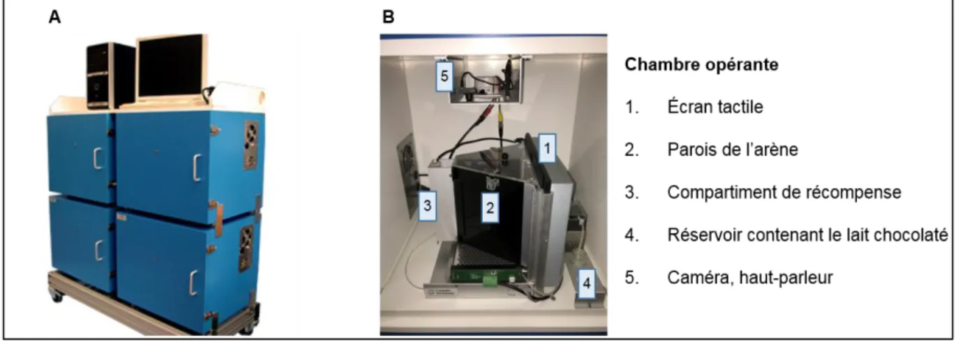 Figure 21: Chambres oprérantes du système automatisé Touchscreen ®  utlisées pour le test dPAL