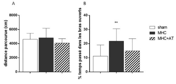 Figure  25:  Évaluation  de  l'activité  locomotrice  spontanée  et  du  niveau  d'anxiété  à  6  semaines  post- post-chirurgie