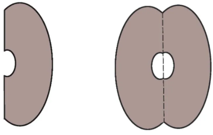 Figure 3: Mirror reflection of a domain with flat boundary