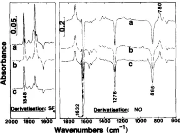 Fig.  3.  FTIR changes after derivatization reactions.  LLDPE films pre-oxidized by 10 Mrad  irradiation  in  air