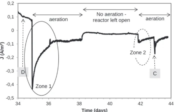 Fig. 2. (Zoom in on Fig. 1): Chronoamperometry of the second cathodic phase (from day 34 to day 44) in reactor 1